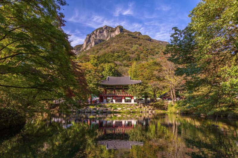 400年の歴史を持つ500本の木々が湖面に映る絶景とは？