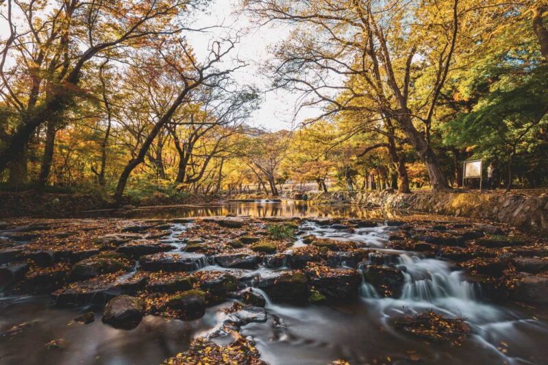 400年の歴史を持つ500本の木々が湖面に映る絶景とは？
