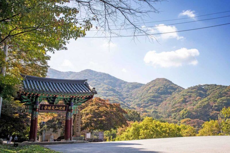 400年の歴史を持つ500本の木々が湖面に映る絶景とは？
