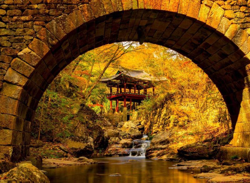400年の歴史を持つ500本の木々が湖面に映る絶景とは？