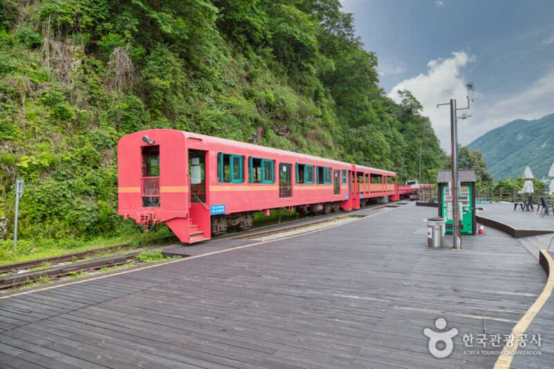 春川（チュンチョン）日帰り旅、今話題の最新人気スポットまとめ