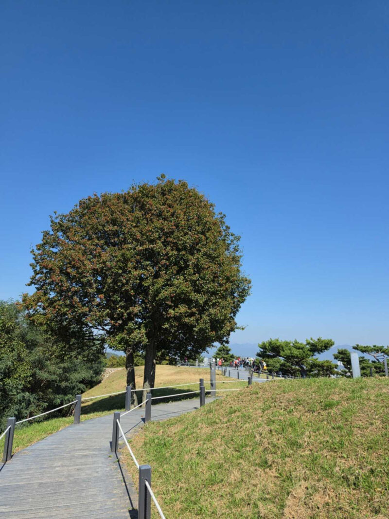 「わざわざ雪岳山まで行かなくてもいい？」ロッテワールドも見える、ソウルのおすすめ名山