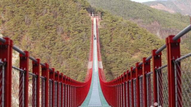 淳昌の3大名山、月下美人もうっとり？スリル満点の「吊り橋」とは