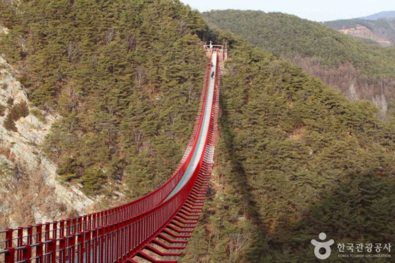 淳昌の3大名山、月下美人もうっとり？スリル満点の「吊り橋」とは