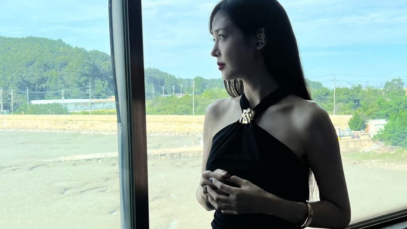 韓国の国民妖精…夫の法的拘束後、10年間仕事がない女性芸能人