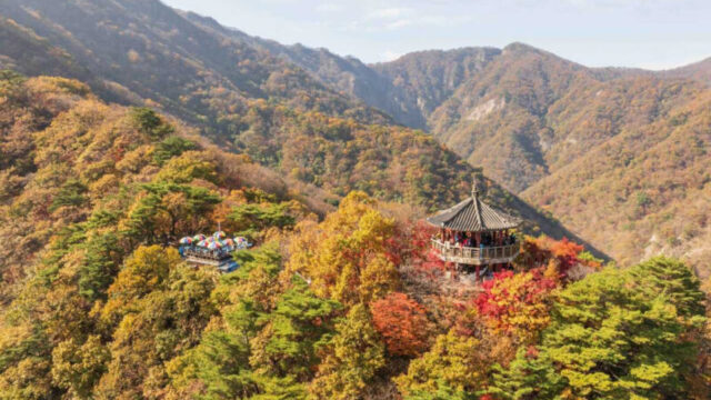 韓国の秋の絶景！紅葉の名所10選