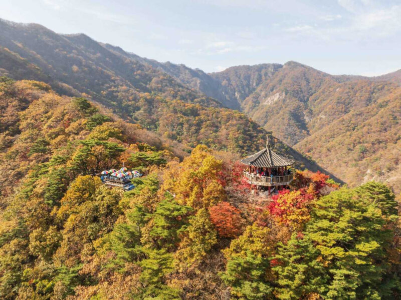 韓国の秋の絶景！紅葉の名所10選
