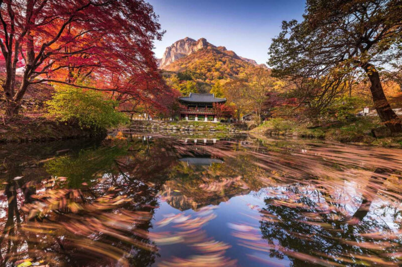 韓国の秋の絶景！紅葉の名所10選