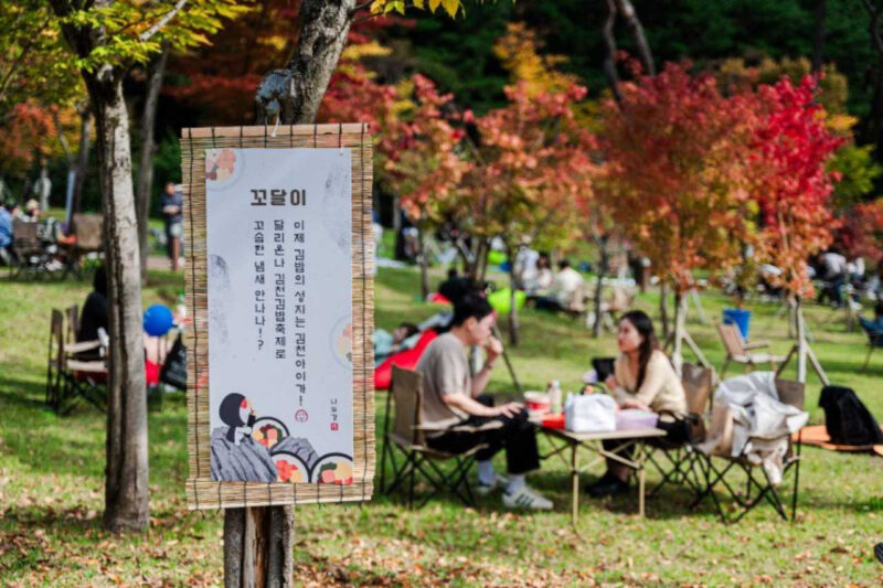 10万人が熱狂した伝説のフェス、今年も伝説を更新なるか