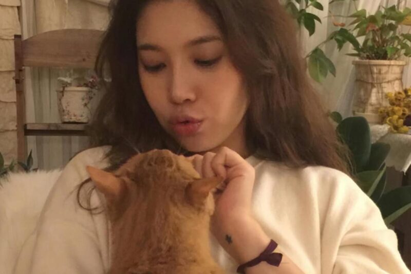 「角膜を失い…」ペ・ダヘ、愛猫の悲痛なニュースに胸を痛める
