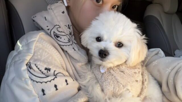 aespaウィンター、保護犬「ぽにょ」との微笑ましい日常を公開