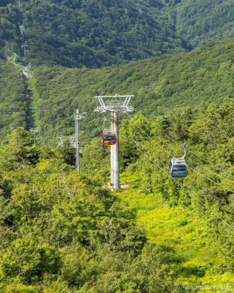 「往復7.4kmの圧倒的スケール」平昌・発旺山ケーブルカーを200%楽しむ活用術