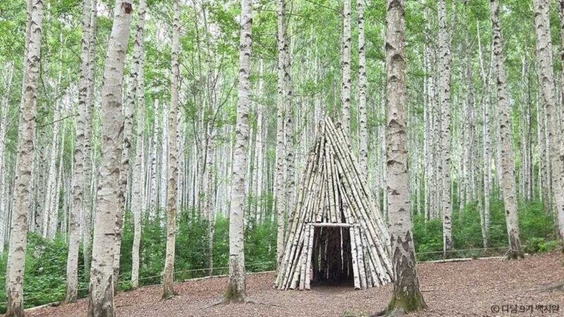 入場無料、入山は15時まで…冬にこそ訪れたい「原州（ウォンジュ）」のおすすめスポット