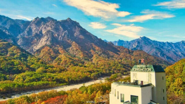 「予約不可・オープンラン必須」韓国屈指の紅葉名所を快適に楽しむ裏ワザとは？