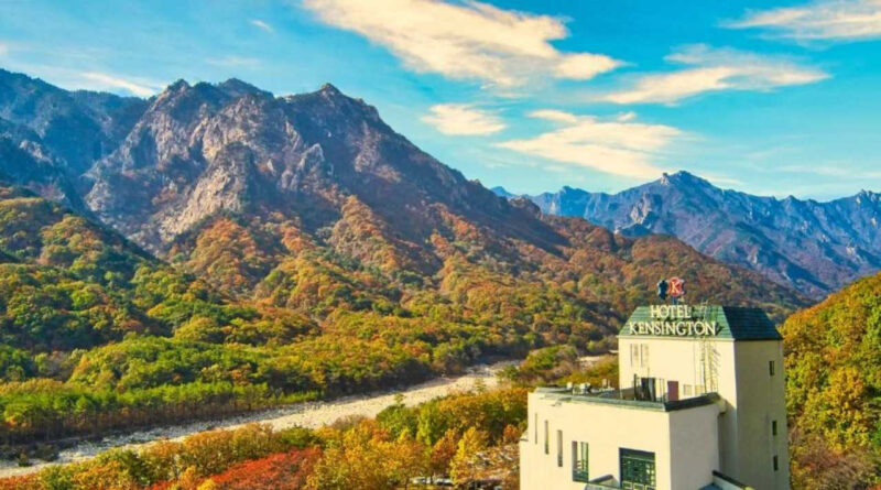 「予約不可・オープンラン必須」韓国屈指の紅葉名所を快適に楽しむ裏ワザとは?