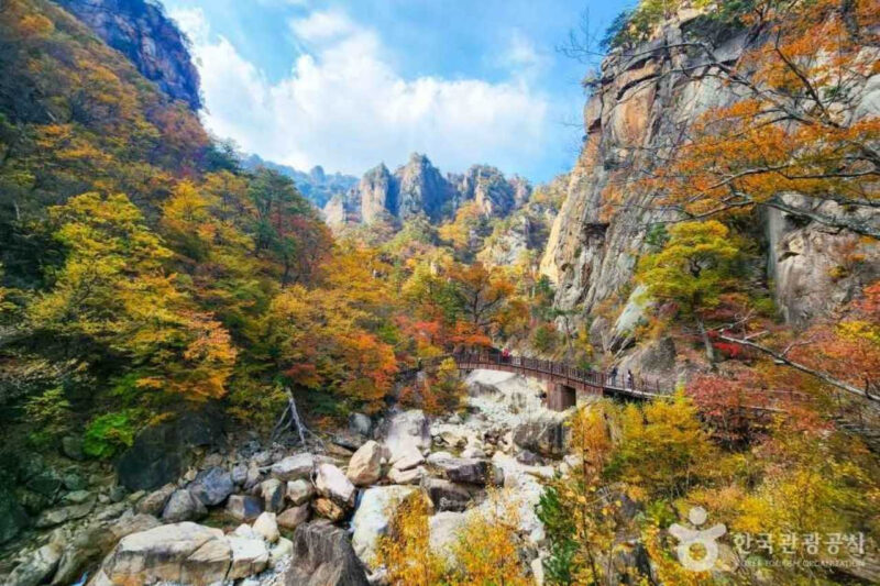 「予約不可・オープンラン必須」韓国屈指の紅葉名所を快適に楽しむ裏ワザとは？