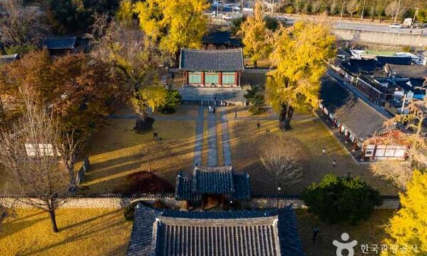 太祖李成桂の時代から生き続ける、歴史あるイチョウの名所を紹介