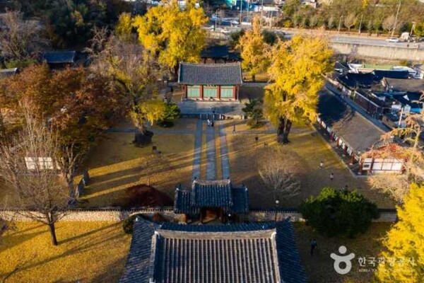太祖李成桂の時代から生き続ける、歴史あるイチョウの名所を紹介