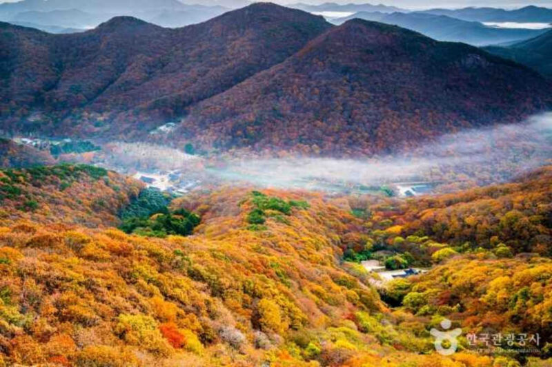 秋の旅行で外せない!紅葉の名所おすすめベスト5