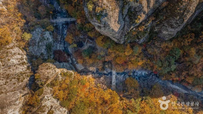 秋の旅行で外せない！紅葉の名所おすすめベスト5