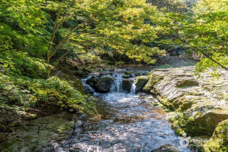 秋の旅行で外せない！紅葉の名所おすすめベスト5