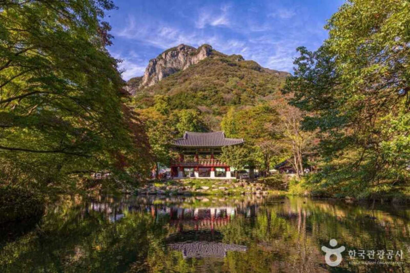 秋の旅行で外せない！紅葉の名所おすすめベスト5