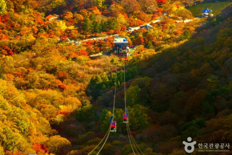 秋の旅行で外せない！紅葉の名所おすすめベスト5