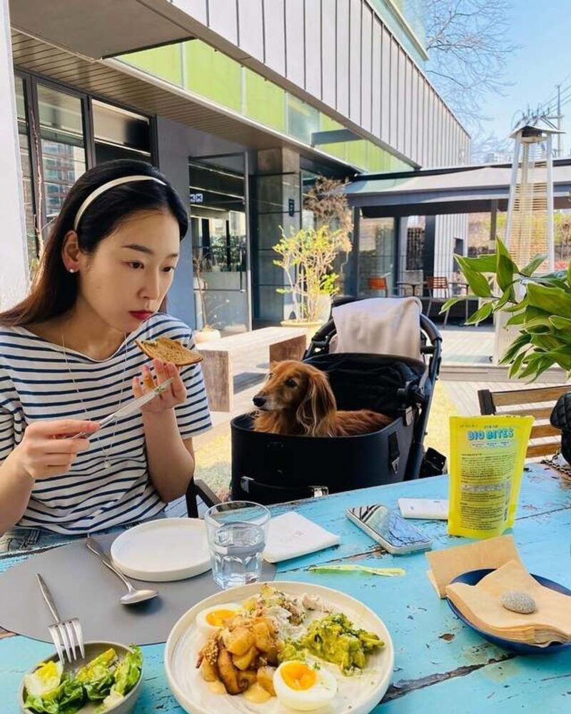 ソ・ヒョンジン、普段は“この食事”を厳守…「ご飯・海鮮・ナムルだけ」の質素さ（『隙間さえあれば』）