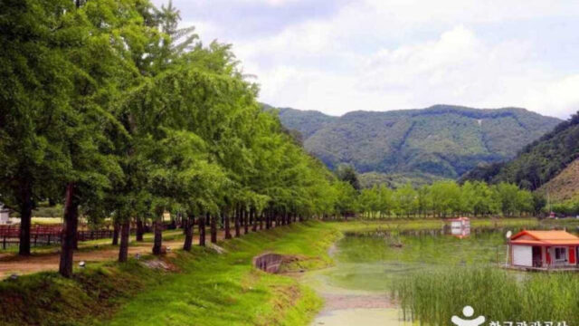 秋の行楽客で溢れかえる貯水池