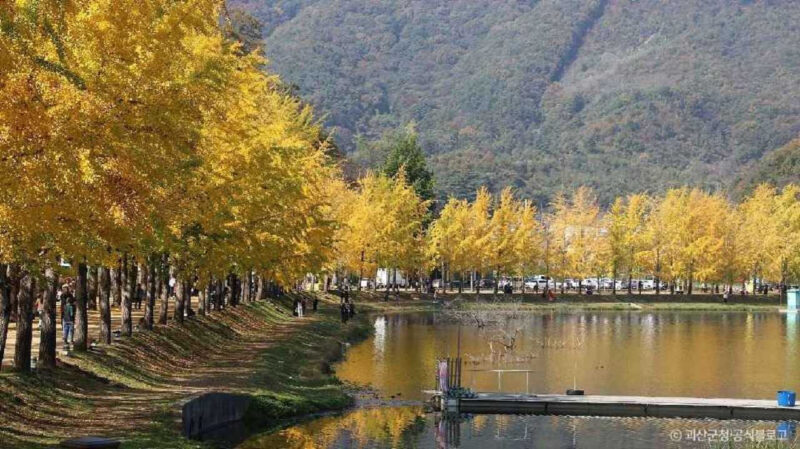 秋の行楽客で溢れかえる貯水池