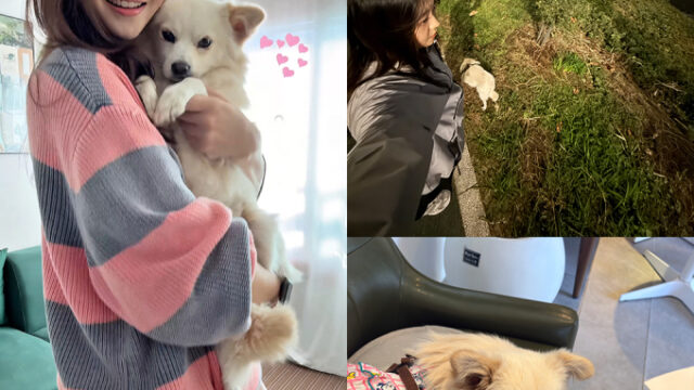 モデル出身の女優チェ・ジアン、保護犬ボランティアで出会った犬を正式に家族へ迎え入れる…名前は「ソミ」に決定