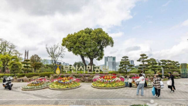 釜山市民公園で秋のピクニック、今週末は国楽公演も楽しもう