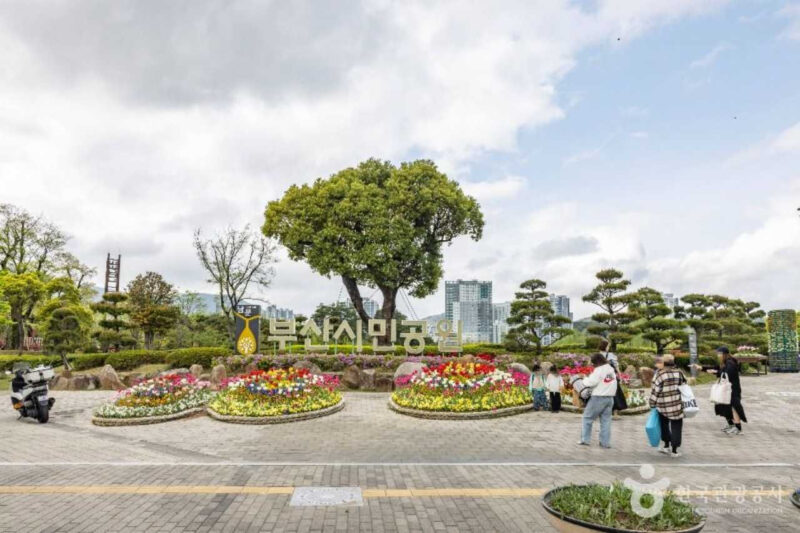 釜山市民公園で秋のピクニック、今週末は国楽公演も楽しもう
