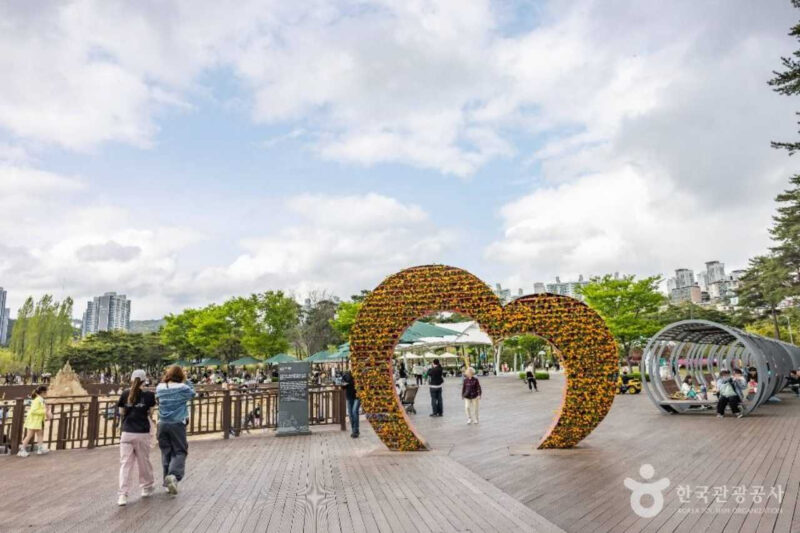 釜山市民公園で秋のピクニック、今週末は国楽公演も楽しもう