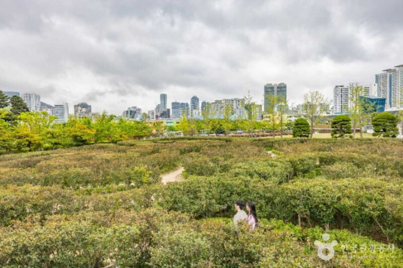 釜山市民公園で秋のピクニック、今週末は国楽公演も楽しもう