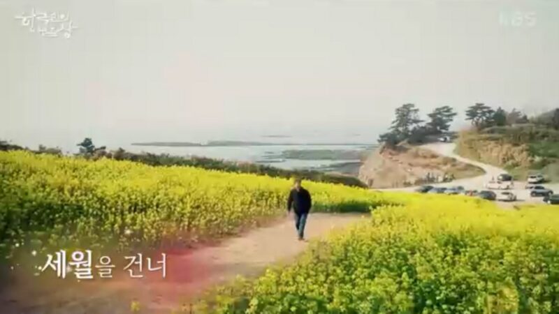 「贈り物のような時間だった」…故チェ・プルアム、『韓国人の食卓』最後の挨拶が永遠の別れに